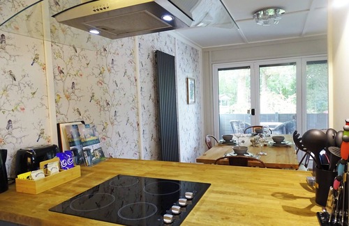 Llanfair Caereinion Cabin | A spacious modern lodge in scenic mid Wales
