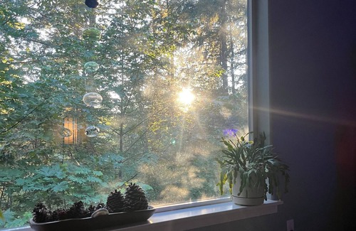 McKenna Hotel | A spiritually magical place in the woods to unwind and reconnect.