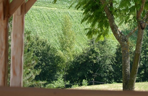 Saint-Vivien-de-Monsegur Villa | A stunning villa with great comfort and style.