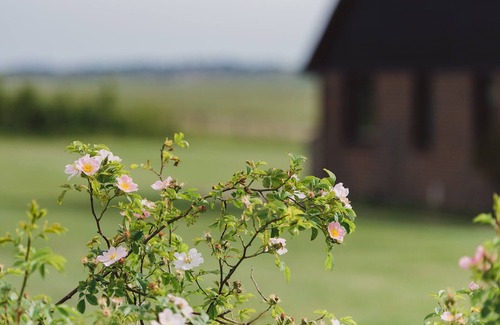 Sheerness House | A stylish holiday home , set in the heart of a National Nature Reserve