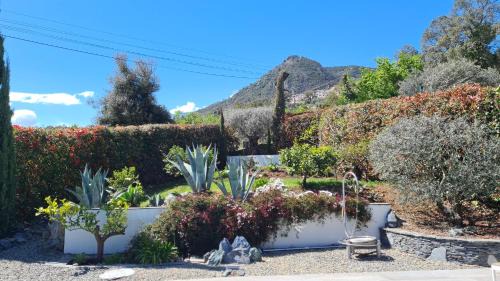 Valle-de-Campoloro Bed & Breakfast | A Sulana Chambre d'hôtes
