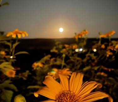 Alto Paraiso de Goias Cabin | A Taberna - chalés