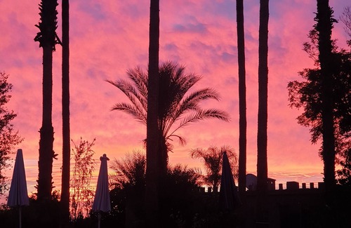 Saada Villa | A tranquil oasis of lush gardens and palm trees 15 mn drive from Marrakech
