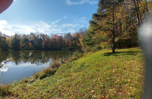Conewango Valley Cottage | A True Cabin in the Woods minutes from Ellicottville HoliMont and Holiday Valley