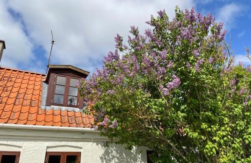 Holbaek Villa | A true nature pearl in idyllic surroundings but close to the city