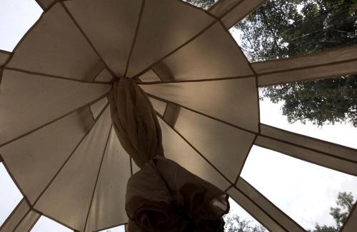 Victor Other | A Truly Glamping Experience in this Beautiful Tent in Victor, West Virginia