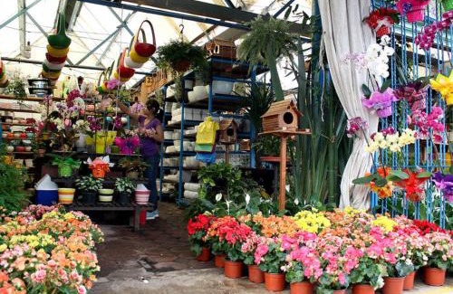 Xochimilco House | A visit to the cultural heritage, Xochimilco