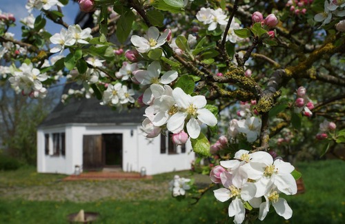 Sarow House | A windmill to fall in love with, family and dog-friendly with a large garden