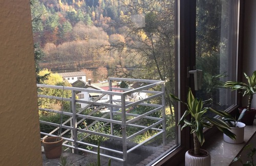 Ersheim Apartment | A1 vacation apartment with private terrace, hiking, canoeing,