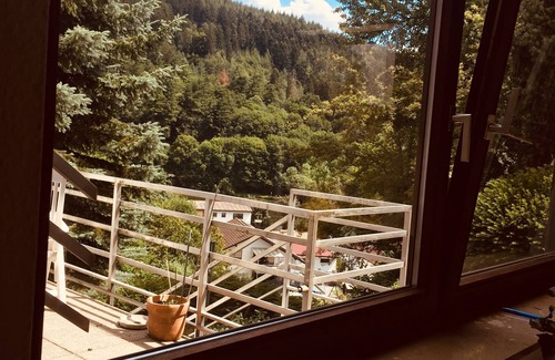 Ersheim Apartment | A1 vacation apartment with private terrace, hiking, canoeing,