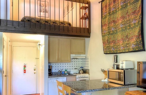 Yosemite West Condo | (A207) Loft Condominiums