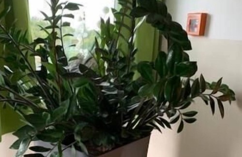 Oberhonnefeld-Gierend Hotel | A3 Hotel