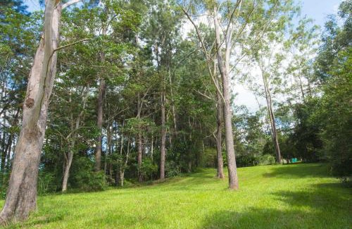 Malanda House | AAK cabin - standalone riverfront cabin