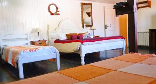 Floresta Hotel | Aardvark Inn Pousada