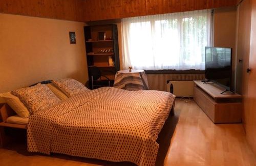 Chur Apartment | Aarons Apartment