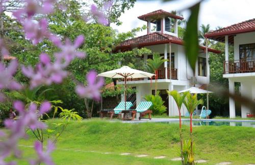 Balapitiya Bed & Breakfast | Aathma Ayurveda Health Resort