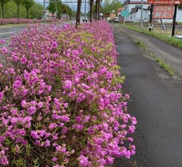 Yobito Hotel | Abashiri - Hotel / Vacation STAY 16174