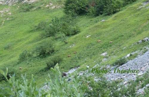 Marthod Bed & Breakfast | Abeille Saint Michel