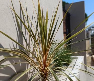 Paramonas House | Abelaki Holiday Home