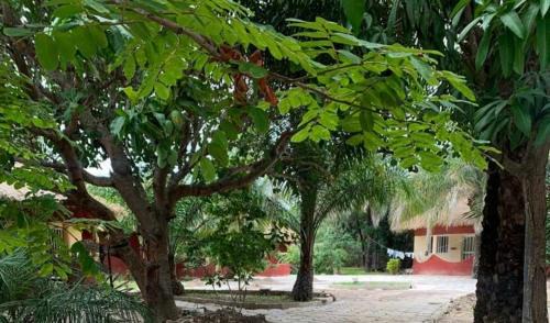 Abeme Cabin | Abené shuDyma lodge