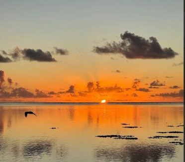Aitutaki Villa | Abera's Aitutaki Villas