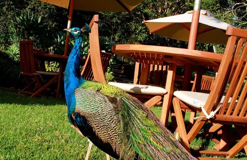 Nyeri Hotel | Aberdare Country Club
