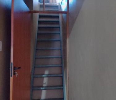 Tenone House | Abrace a amazônia