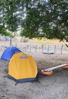 Quixada Other | Abrigo Quixadá