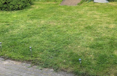 Hohen Demzin Apartment | Abschalten von der Städtischen Hektik und Rein ins Landleben