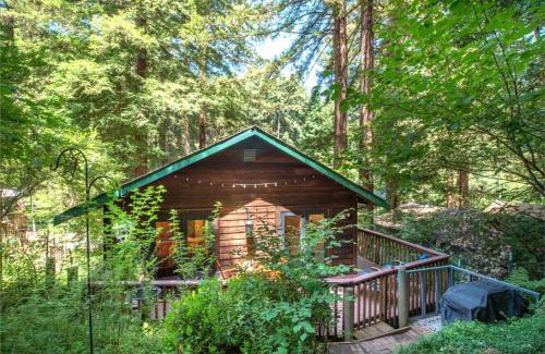Guerneville House | Absolute Zen! Redwoods! BBQ Grill! Fast WiFi! Ping Pong! Dog Friendly!