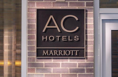 Cleveland Circle Hotel | AC Hotel by Marriott Boston Cleveland Circle