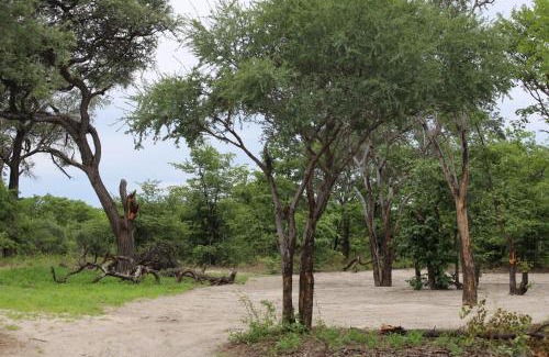 Maun Other | Acacia Camping