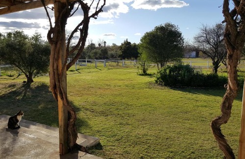 Prince Albert House | Acacia Cottage