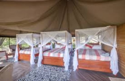 Seronera Other | Acacia Seronera Luxury Camp