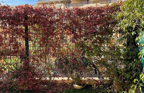 Frejus Port Apartment | Acapoulco two-room seafront promenade Garden level