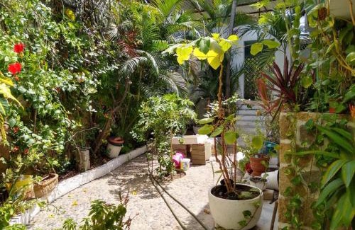 Club Deportivo House | Acapulco is your home
