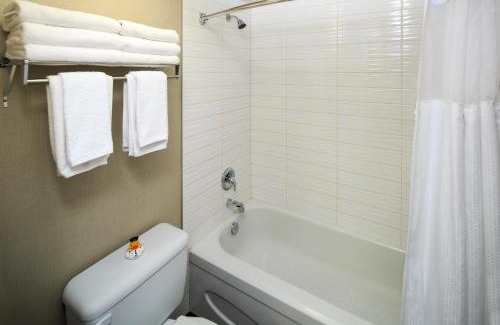 Kamloops Hotel | Accent Inns Kamloops