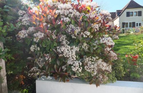 Orthez Bed & Breakfast | ACCUEIL LAFAYE21