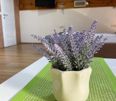 Arilje Apartment | Achillius apartmani Arilje