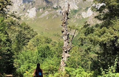 Cosgaya Apartment | Acogedor apartamento de montaña a los pies de los Picos de Europa