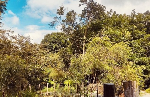 Cairu House | Aconchego Ioguita Moreré