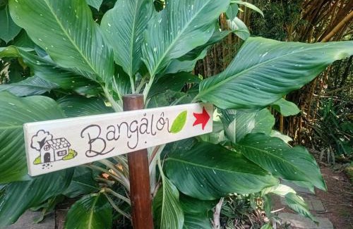 Ilha Grande House | Acqua Jungle Lodge, Bangalô na selva