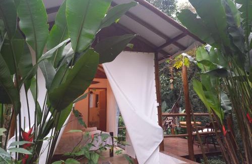 Ilha Grande House | Acqua Jungle Lodge, Bangalô na selva