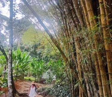 Ilha Grande House | Acqua Jungle Lodge, Bangalô na selva