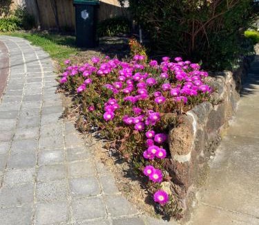 Doncaster House | ADA Homestay