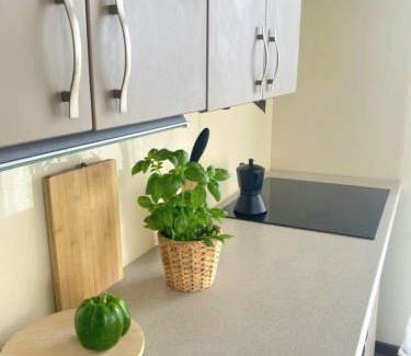 West Pomeranian Voivodeship Apartment | Adamant Apartament