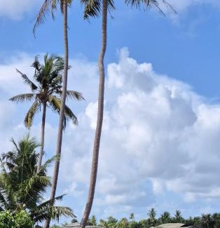 Andhakaranazhy Boat Rental | Adavan boat house