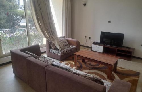 West Hararge Apartment | Addis Luxurious apartments