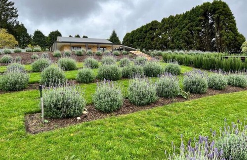 Summertown House | Adelaide Hills luxury cottage spectacular views