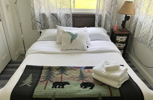 Lake George Cabin | Adirondack Retreat! Pet Friendly, just 20 minutes from Lake George Village.